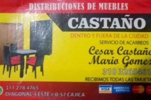 Acarreos y distribuciones CASTAÑO