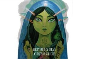 Bendita Sea Grow Shop