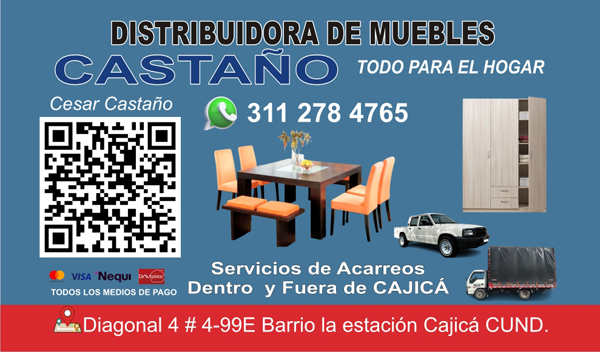 muebles y acarreos castaño l.