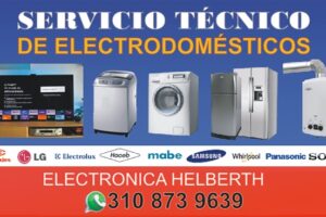 Electronica helberth